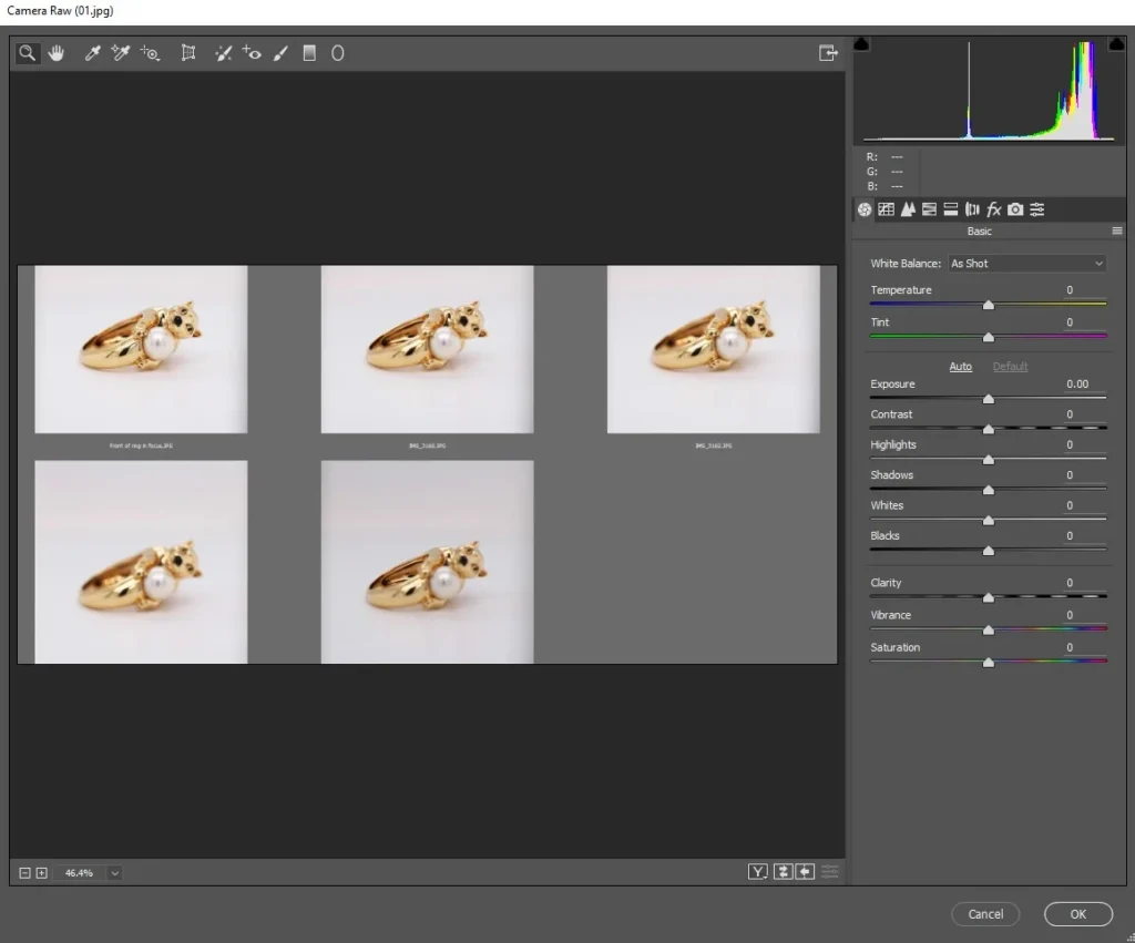 all photos in camera raw